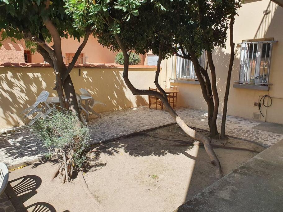 Cosy Apartment Canet-en-Roussillon